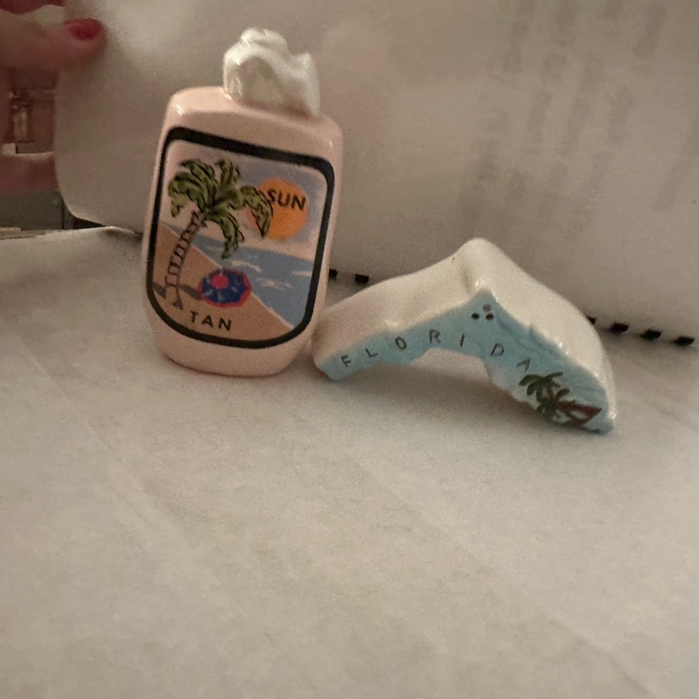 Florida Salt and Pepper Shakers